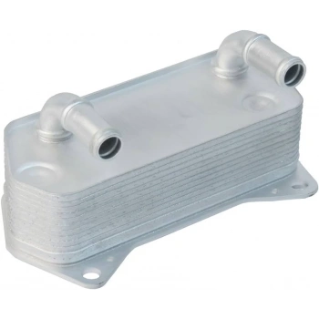 Sanzuman Yag Sogutucu 112X210X122 (Dsg) Vw Golf5-Jetta-Passat-Caddy-A3 Bm 04-13 (Oem No: 02E409061B)