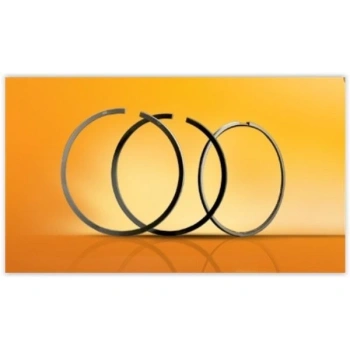 Segman B2500 01-07 2.5 - Wl - Turbo 93.00Mm 050 Takım (Oem No: 06-848907-00)