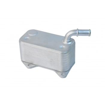 Yag Sogutucusu Vw Passat-A4-A6 Bgb-Bpj 2,0 Fsı 05-11 (Oem No: 06D117021C)