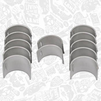 Eksantrık Yatagı 77998600 Vw T5-Touareg Axd-Axe-Bac 2,5 Tdı 04-10 (Oem No: 070103673A)