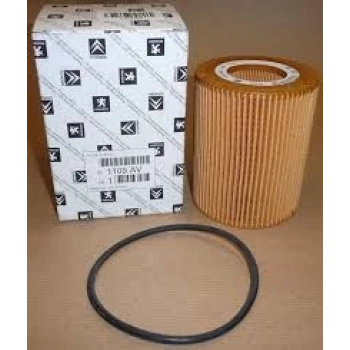 Yağ Filtresi C5 / C6 / 407 / Dıscovery Iv / Range Rover Iv (Oem No: 1109Av)