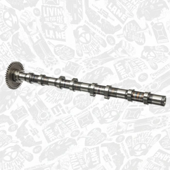 Eksantrık Mılı Egzos Bmw E81-E82-E87-E88-E90-E91-E92-E93-E60-E61-X1 E84-X3 E83 N47 05-15 (Oem No: 11318575436)