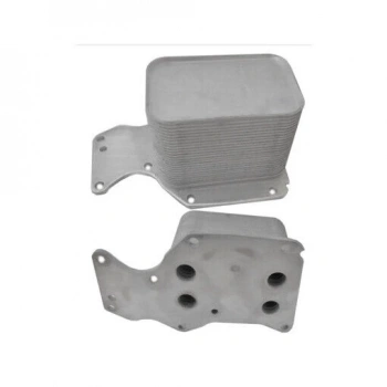 Yag Radyatörü Bmw F20 Lcı-F21 Lcı-F22-F22 Lcı-F23-F30-F30 Lcı-F31-F31 Lcı-F34 Gt -4F32-F32 Lcı-F33- F33 Lcı-F36 Gran Coupe-F10-F10 Lcı-F11-F11 Lcı-5G30-G31-7G11-G12-X3 F25-X3 G01-X3 F25-X3 G01-X4 F26-X5 F15 B47 10-18 (Oem No: 11428585625)