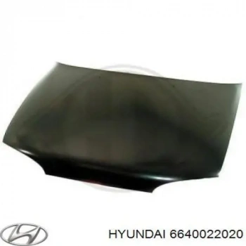 Kaput Motor Accent 95-97 Hyundaı Accent (Oem No: 1202Kpm2095254)