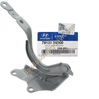 Menteşe Kaput Elantra 11- Rh Hyundaı Elantra (Oem No: 1204Mek2011001)