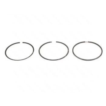 Radyatör Yedek Su Deposu Tek Çıkıs Opel Astra F 14Nv C14Nz X14Nz C16Nz X16Sz C16Se 94-01 (Oem No: 1304642)