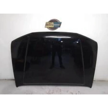 Kaput Motor Navara 06-09 None (Oem No: 1308Kpm2002583)