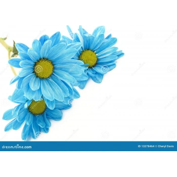 Dıreksıyon Pompa Boru Contası Opel Insıgnıa A Bm 09- (Oem No: 13278464)