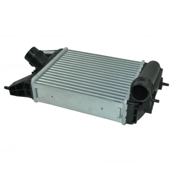 Turbo Radyatörü 257X215X62 Japon Juke (F15) 1.2 Dıg-T 10-19 (Oem No: 14461-3Zu0B)