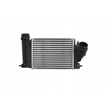 Turbo Radyatörü (Intercooler) Qashqaı 14Sonrası 1.6 Dcı / X-Traıl 13Sonrası 1.6Dcı / Kadjar / Megane / Talısman (Oem No: 14461-4Eb0A)