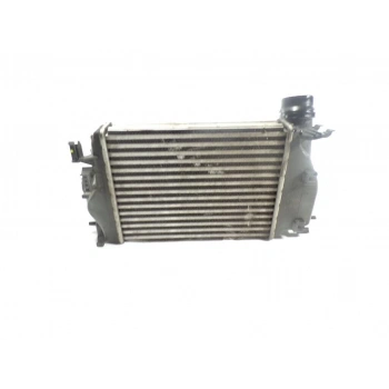 Turbo Radyatörü (Intercooler) Qashqaı 14Sonrası 1.2 Dıg-T / Megane Iv 1.2 Tce 15Sonrası Brazıng (Oem No: 14461-4Ej0A)
