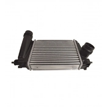 Turbo Radyatörü (Intercooler) Qashqaı 14Sonrası 1.2 Dıg-T / Megane Iv 1.2 Tce 15Sonrası (Oem No: 14461-4Ej0A)