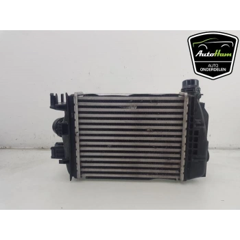 Turbo Radyatörü İntercooler Renault Clıo V 1.0 Tce 19- (Oem No: 144966668R)