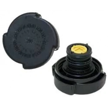 Radyatör Yedek Su Depo Kapagı 2 64 Lük Bmw E30-E32-E34-E36-E38-E39-E46-F06-F07-F10-F11-F12-F13-E65-E66-F01-F02-X3 E83 -X3 E83 Lcı-X5 E53-Z4 E85-Z4 E86 Land Rover Range Rover Iıı Bm 86-17 (Oem No: 17117639022)