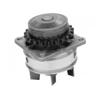 Devirdaim Maxıma (Oem No: 21010-31U25)