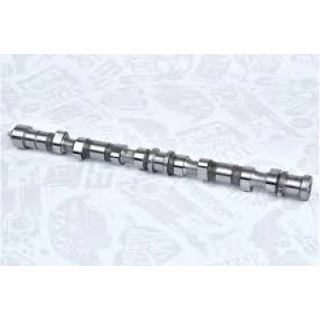 Eksantrik Mili Santa Fe 06Sonrası 2.2 Crdı (Oem No: 24100-27401)