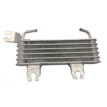 Yag Sogutucusu Kore Tucson/Santa Fe Dızel 2004- (Oem No: 254602E000)