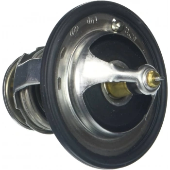 Termostat 82 Cc 60 Lık Kore Santa Fe/Grandeur/Genesıs/Sorento/Opırus Benzın-Dızel 2010- (Oem No: 255003C130)