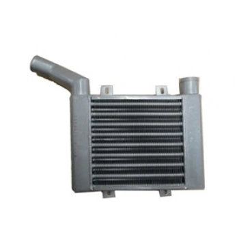 Hyundaı Starex- Minibüs- 04/08; İntercooler Hava Soğutma Radyatörü (Oem No: 28190-4A061)