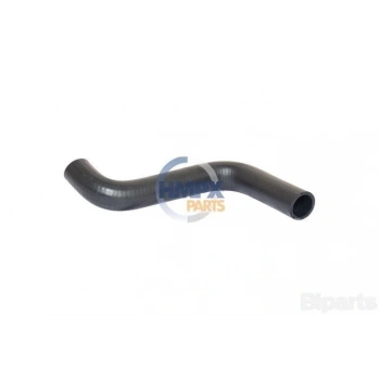 Fiesta 2002  Radyatör Hortumu Alt  (Oem No:2S6H8B273Ad)