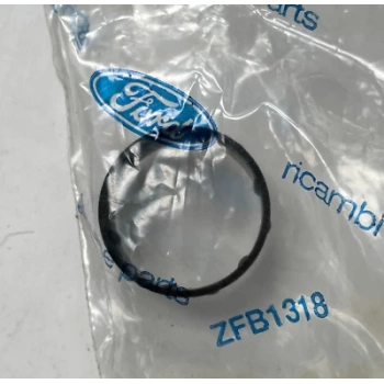 Focus 2001  Enjektör Uç Fiberi