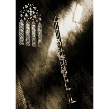 Salıncak Burcu (Mesnetlı) Psa 106/Saxo B.M 91- (Oem No: 3523.01)