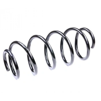 Helezon Yayı Passat Superb 2005-2009 Ön (Oem No:3C0411105C) (2 Adet)