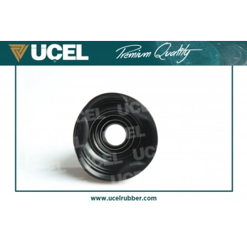 Aks Körüğü Takım İç Ducato / Boxer / Jumper Iıı 06Sonrası 2.2Hdı-2.3Jtd (Oem No: 46308311)