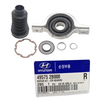 Askı Şaftı Santa Fe 06-11 None (Oem No: 49575-2B000-Jpı)