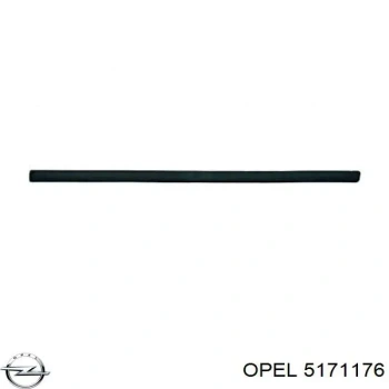 Kapı Bandı Ön Sag Opel Merıva A Bm 03- (Oem No: 5171176)