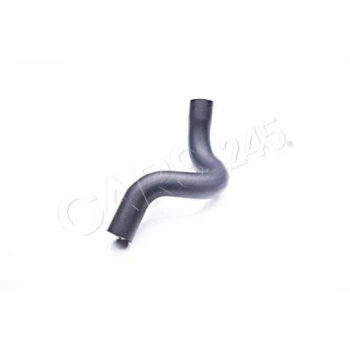 Fiorino Qubo 2007  > Radyatör Hortumu Alt  (Oem No:51780677)