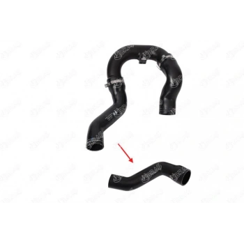 Turbo Hortumu Plastık Parça Harıç ( Büyük Olan ) Fıat Doblo Iıı 1,3 Mjt 09- (Oem No: 51832981)