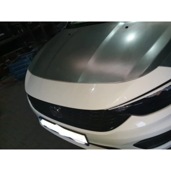 Fıat Egea- Sd/Hb- 21/24; Motor Kaputu (İceli/Çekomastikli) (Eagle Body) (Oem No: 52110085)