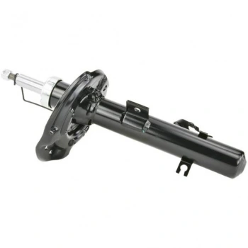 Amortisör Qashqaı 14-18 / Kadjar 15-17 Gazlı Ön Sol (Oem No: 543034Ea7C)