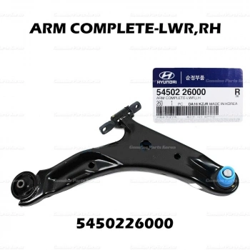 Salıncak Santa Fe 00-06 Burçlu Rotilli Alt Sağ (Oem No: 54502-26000)