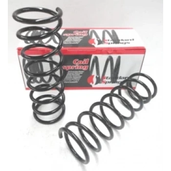 1993-1997 Nissan Micra K11 Arka Helezon Yayı Sağ-Sol (2Li Set) (10,75X112) (Stdr) (Adet) (Oem No:550205F10)