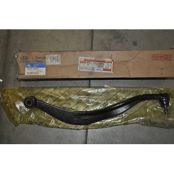 Denge Kolu Santa Fe 01-06 Rotilli Kol Arka Sol (Oem No: 5520426700)