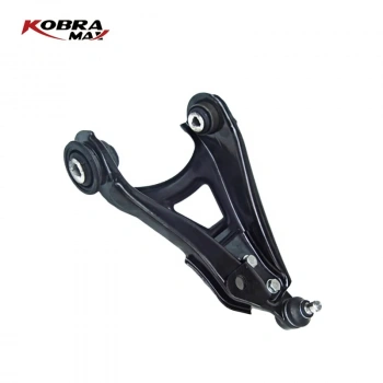 Salıncak Ön Sag Rotıllı Alt Renault Megane I/R19 Bm 1991-2001 (Oem No: 6000073512)