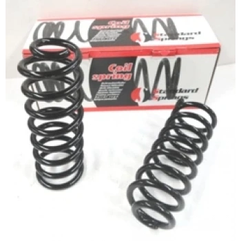 Dacıa Logan- Mcv- 06/08; Arka Helezon Yayı Sağ/Sol (2Li Set)(12,25X102) (Stdr) (Oem No: 6001547493)