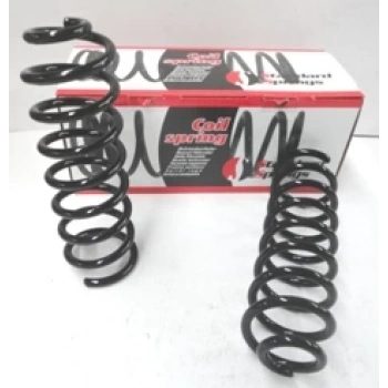 Dacıa Logan- 04/08; Arka Helezon Yayı Sağ/Sol (2Li Set)(11,5X102) (Stdr) (Oem No: 6001547971)