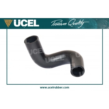 Radyatör Hortumu Alt Renault Express/Clıo I 1.9 D 90- (Oem No: 6006001231)