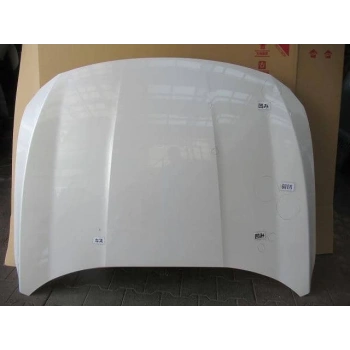 Motor Kaputu Accord 22Sonrası (Oem No: 60100-Tvl-T00Zz)