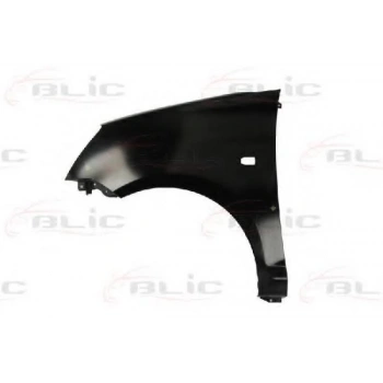 Çamurluk Pıcanto 05-08 Ön Sol (Oem No: 66311-07030)