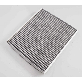 Polen Filtresi Polo / Ibıza / Fabıa / A1 / Panamera / Cordoba 10-16 Karbonlu (Oem No: 6R0819653)