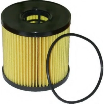 Yağ Filtresi Master Iı / Movano / Vıvaro 03-08 2.2-2.5 (Oem No: 7701472321)