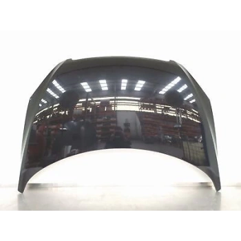 Motor Kaputu 307 01-06 (Sımyı) (Oem No: 7901J0)