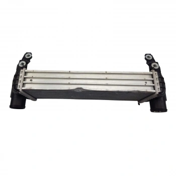 Turbo Radyatörü Ara Sogutucu Ford Connect 1,8 Tdcı 06-13 (Oem No: 7T16 9L440 Ae)