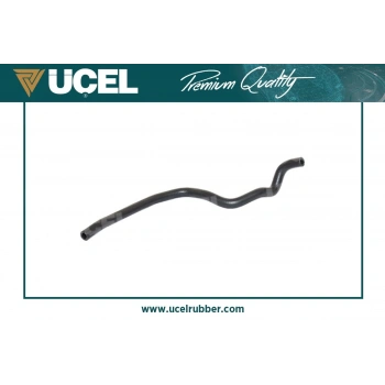 Yedek Su Depo Hortumu Renault Clıo Iı / Kangoo 1.4 96- (Oem No: 8200024006)