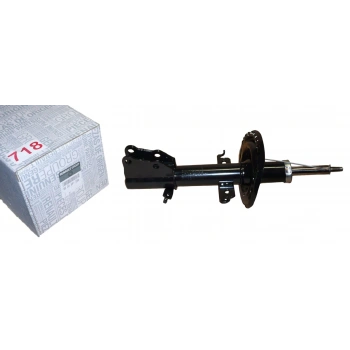 Amortisör Kangoo 12Sonrası / Cıtan 12Sonrası Gazlı Ön 47Mm (Oem No: 8200591289)