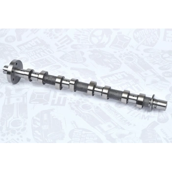 Eksantrik Mili Koleos I / Laguna Iı-Iıı / Megane Iı-Iıı / Trafıc Iı 2.0Dcı M9R Egzoz (Oem No: 8200827922)